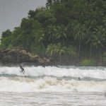 Surfing in Sri lanka