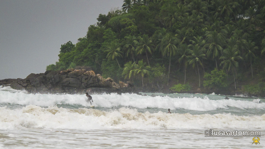 Surfing in Sri lanka