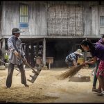 Cambodia - rice farmers at work